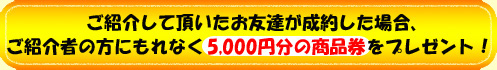 �L�����y�[���i���i���v���[���g�j